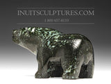 Ours marcheur turquoise foncé de 6 po Allan Naonoonai