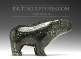 Ours marcheur turquoise foncé de 6 po Allan Naonoonai
