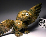 Owl by Famous Toonoo Sharky